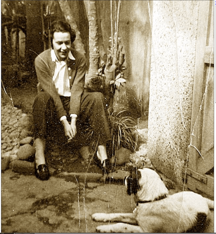 Screen Shot 2017-08-13 at 12.03.42 PM.png