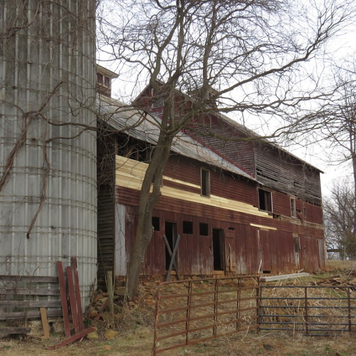 113. Barn Feb. 22, 2017.jpg