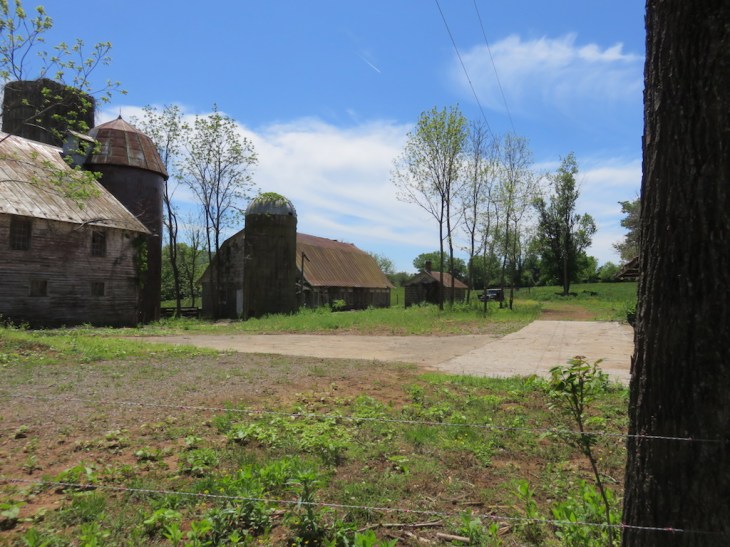 15 barnyard May 16, 2016.jpg