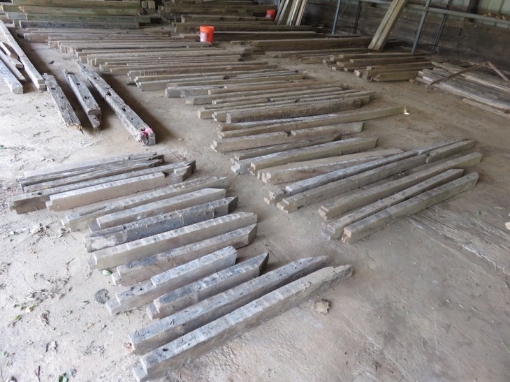 19 studs June 10, 2016.jpg