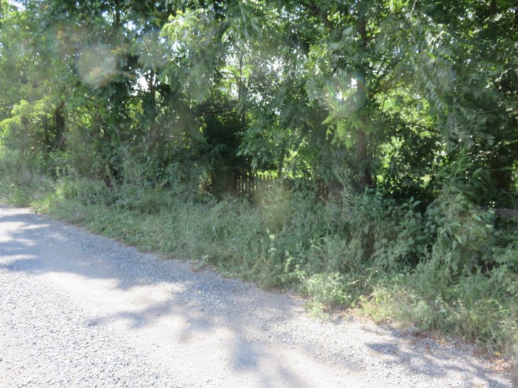 37 gate Aug. 16, 2016.jpg