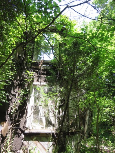 96. house June 12, 2015.jpg